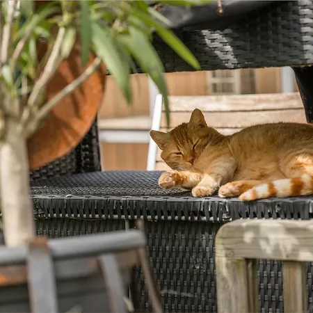 Möwenort 5 Apartment *