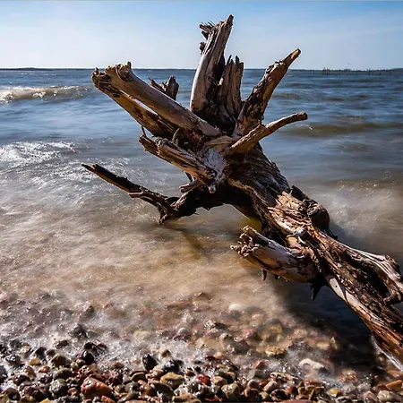 Apartment Möwenort 5