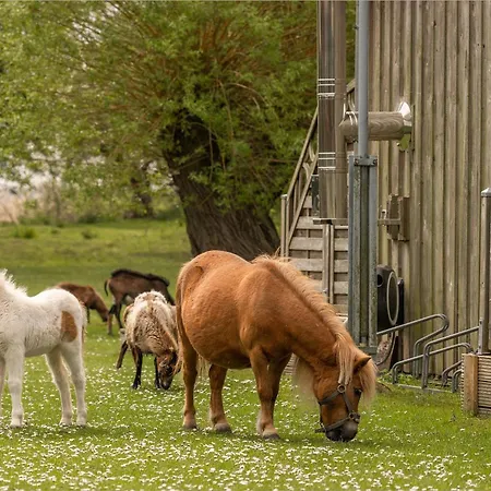 Möwenort 5 Apartment Lutow