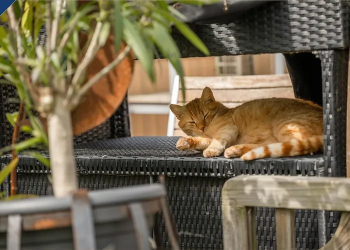 Moewenort 5 Lägenhet *