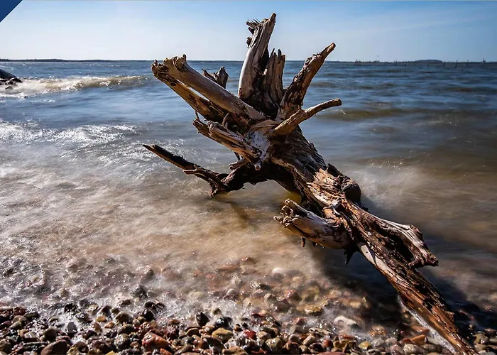 Lägenhet Moewenort 5